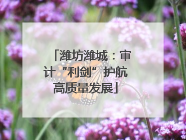 潍坊潍城：审计“利剑”护航高质量发展