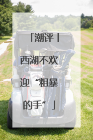 潮评丨西湖不欢迎“粗暴的手”