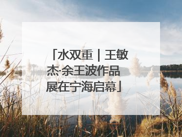 水双重｜王敏杰·余王波作品展在宁海启幕