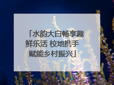 水韵大白畅享趣鲜乐活 校地携手赋能乡村振兴