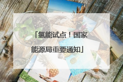 氢能试点！国家能源局重要通知