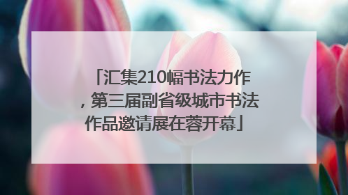 汇集210幅书法力作，第三届副省级城市书法作品邀请展在蓉开幕