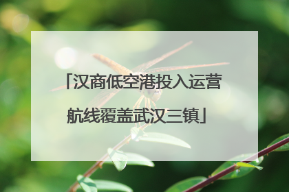 汉商低空港投入运营 航线覆盖武汉三镇