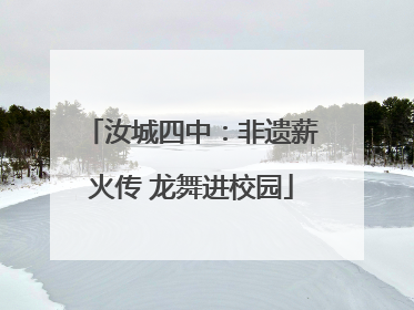 汝城四中：非遗薪火传 龙舞进校园