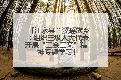 江永县兰溪瑶族乡：组织三级人大代表开展“三会三文”精神专题学习