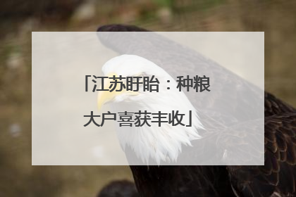 江苏盱眙：种粮大户喜获丰收