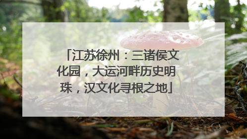 江苏徐州：三诸侯文化园，大运河畔历史明珠，汉文化寻根之地