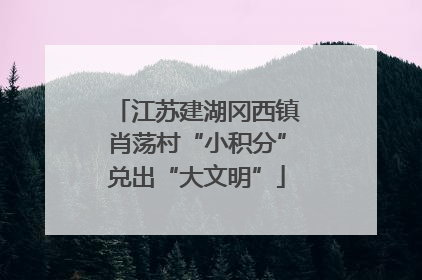 江苏建湖冈西镇肖荡村“小积分”兑出“大文明”