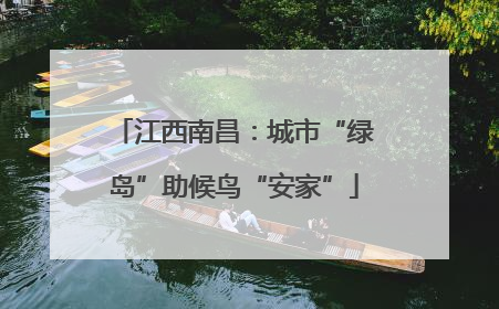 江西南昌：城市“绿岛”助候鸟“安家”
