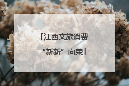 江西文旅消费“新新”向荣