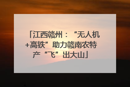 江西赣州：“无人机+高铁”助力赣南农特产“飞”出大山