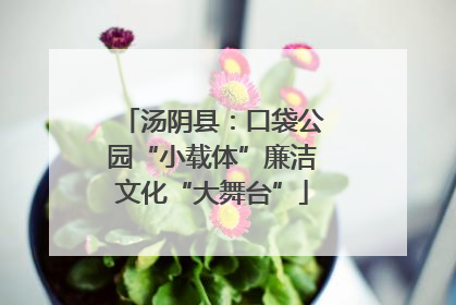 汤阴县：口袋公园“小载体”廉洁文化“大舞台”