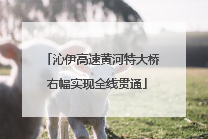 沁伊高速黄河特大桥右幅实现全线贯通