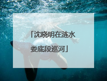 沈晓明在涟水娄底段巡河