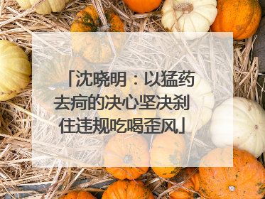 沈晓明：以猛药去疴的决心坚决刹住违规吃喝歪风