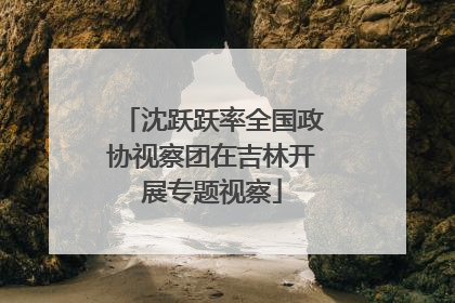 沈跃跃率全国政协视察团在吉林开展专题视察