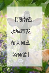 河南省永城市发布大风蓝色预警