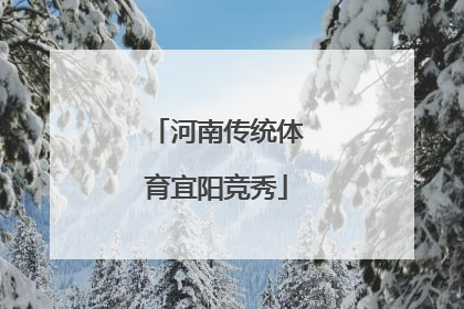 河南传统体育宜阳竞秀