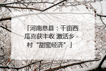 河南息县:千亩西瓜喜获丰收 激活乡村“甜蜜经济”