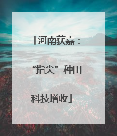 河南获嘉：“指尖”种田科技增收