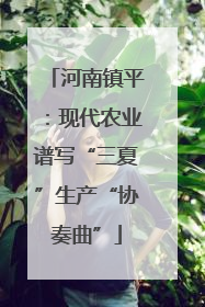河南镇平：现代农业谱写“三夏”生产“协奏曲”