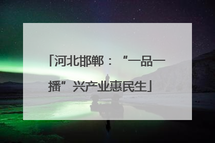 河北邯郸：“一品一播”兴产业惠民生