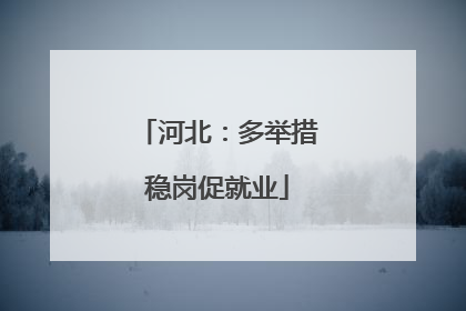 河北：多举措稳岗促就业