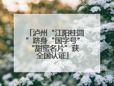 泸州“江阳桂圆”跻身“国字号” “甜蜜名片”获全国认证