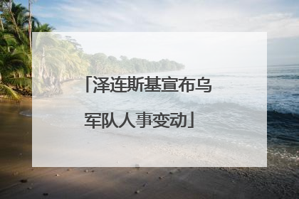 泽连斯基宣布乌军队人事变动