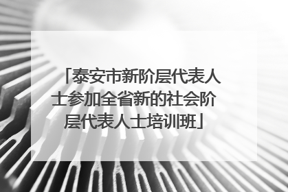 泰安市新阶层代表人士参加全省新的社会阶层代表人士培训班