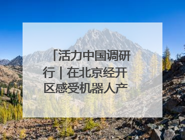 活力中国调研行｜在北京经开区感受机器人产业创新发展