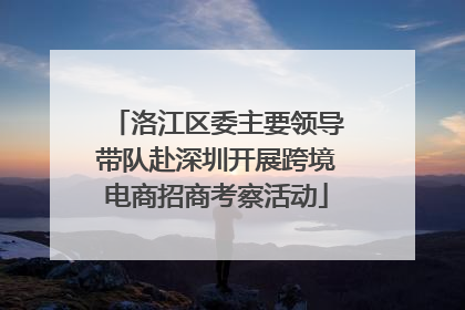 洛江区委主要领导带队赴深圳开展跨境电商招商考察活动