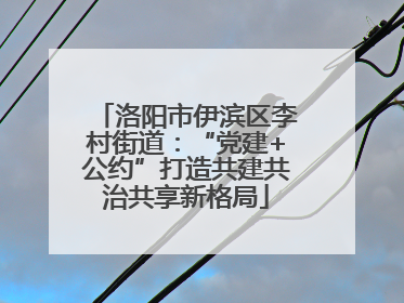 洛阳市伊滨区李村街道：“党建+公约”打造共建共治共享新格局