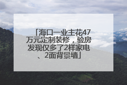 海口一业主花47万元定制装修，验房发现仅多了2样家电、2面背景墙