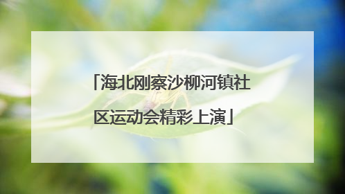 海北刚察沙柳河镇社区运动会精彩上演