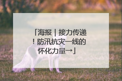 海报｜接力传递！防汛抗灾一线的怀化力量→