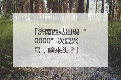 济南西站出现“0000”次复兴号，啥来头？