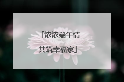 浓浓端午情 共筑幸福家