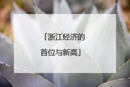 浙江经济的首位与新高