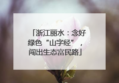 浙江丽水：念好绿色“山字经”，闯出生态富民路