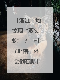 浙江一地惊现“双头蛇”？！村民吓懵：还会倒着爬