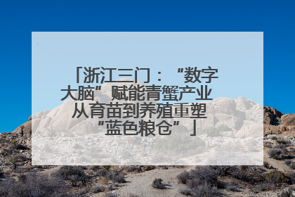 浙江三门：“数字大脑”赋能青蟹产业 从育苗到养殖重塑“蓝色粮仓”