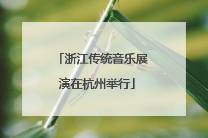 浙江传统音乐展演在杭州举行