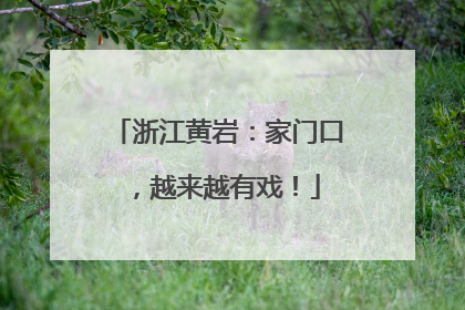 浙江黄岩：家门口，越来越有戏！