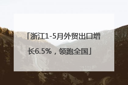 浙江1-5月外贸出口增长6.5%，领跑全国