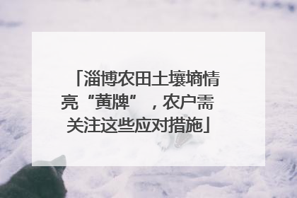 淄博农田土壤墒情亮“黄牌”，农户需关注这些应对措施