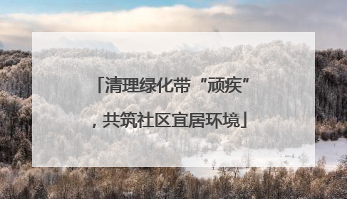 清理绿化带“顽疾”，共筑社区宜居环境