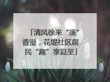 清风徐来“廉”香漫，花堤社区居民“趣”享夏至