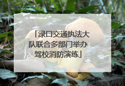 渌口交通执法大队联合多部门举办驾校消防演练