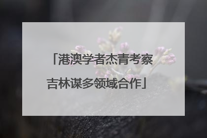 港澳学者杰青考察吉林谋多领域合作